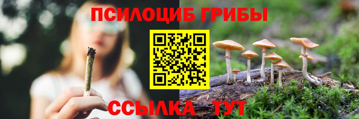Псилоцибиновые грибы прущие грибы Сертолово